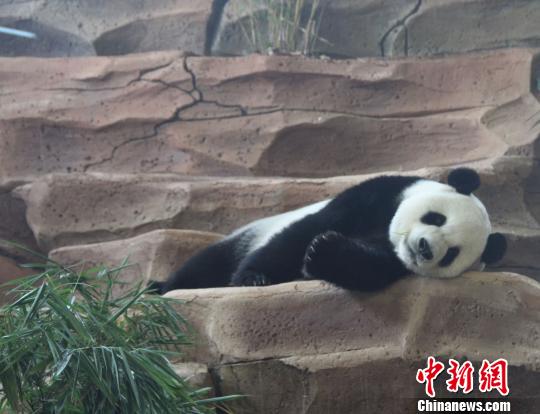 D鄂ġաuȡ z