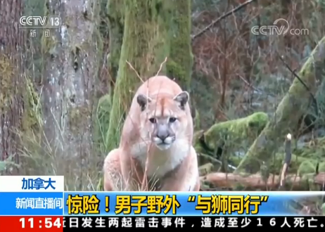 ô@U(xin)Ұ⡰c{ͬС