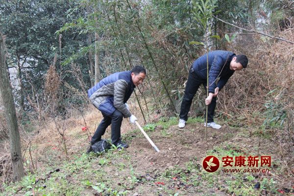 311޿hֱC(j)P(gun)300˅x(w)ֲӣ(dng)ֲ˘1400ԓhӋ(j)G6.2fд