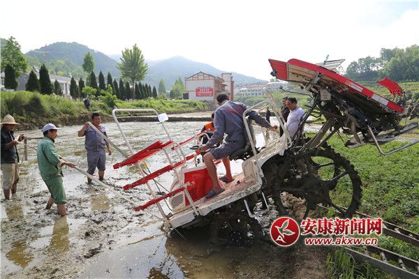工作人員正把插秧機(jī)運(yùn)送到田地里.jpg