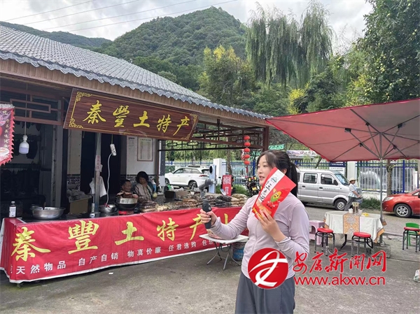 邢波:看“網(wǎng)紅書記”如何“玩轉(zhuǎn)”直播