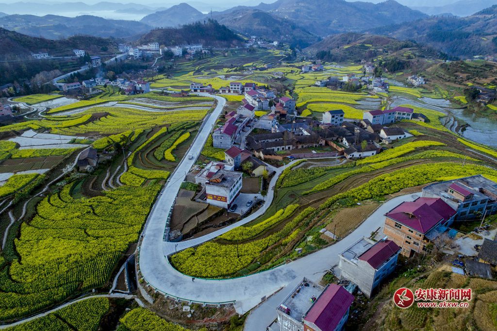 PߴɫzӰƤ¾SԒ(hu)h13325355508Ĕzʡhꎿhu(zhn)P߹ - .JPG