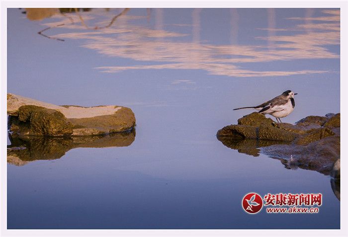 ˮһɫzӰƤ¾Sf(shu)Ƭ2017123ʡНhĔzģչF(xin)õB(ti)h(hun)(lin)ϵԒ