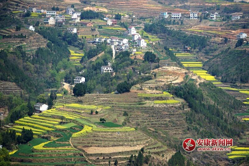 D2.̎(gu)(ni)ꑸ(d)߁ɽɽɽص6Nεòc(din)˷Ϣ@˂ò